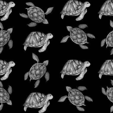 Güzel kaplumbağa sanat su renk arka plan illüstrasyon