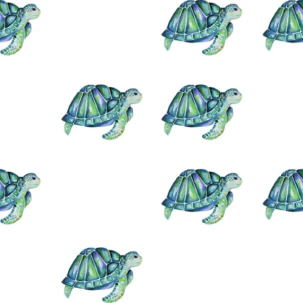 Beautiful Turtle Art Water Color Background Illustration — Stock Photo, Image