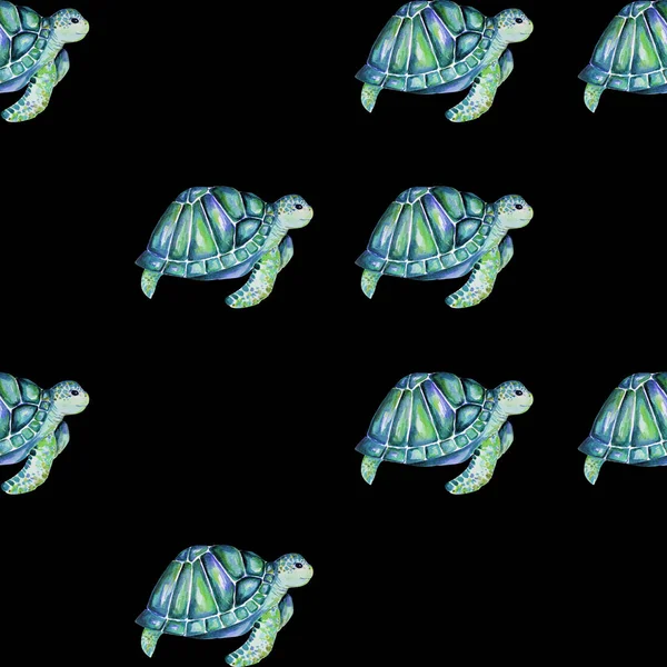 Vacker Sköldpadda Konst Vattenfärg Bakgrund Illustration — Stockfoto