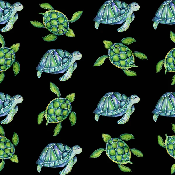 Mooie Schildpad Kunst Water Kleur Achtergrond Illustratie — Stockfoto