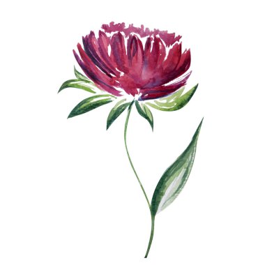 Güzel çiçek sanat su rengi illüstrasyon sanat