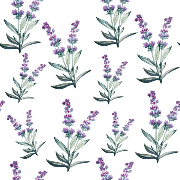 Lavendel Blume Aquarell Kunst Illustration — Stockfoto