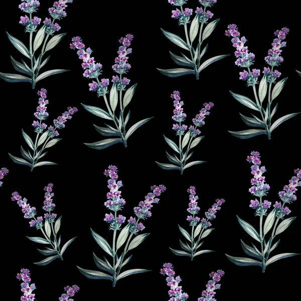 Lavendel Blume Aquarell Kunst Illustration — Stockfoto