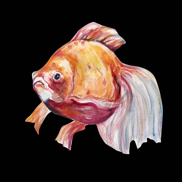 Bella acquerello pesce arte illustrazione — Foto Stock