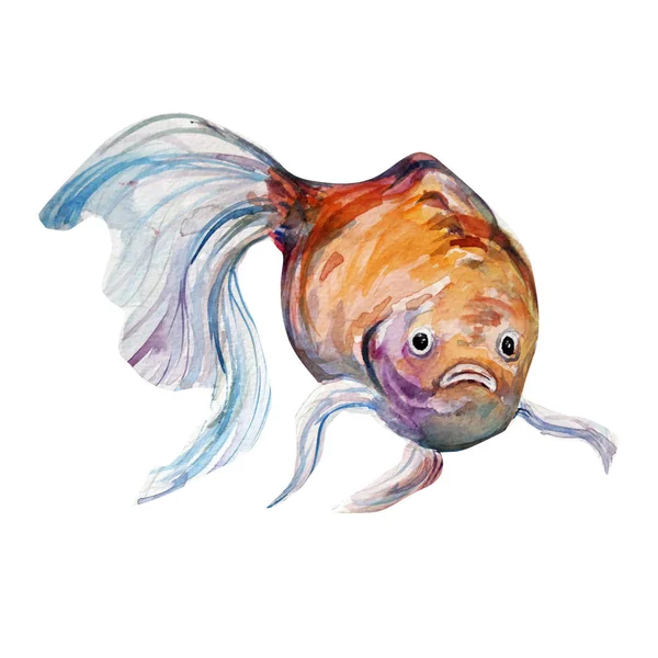 Bella acquerello pesce arte illustrazione — Foto Stock