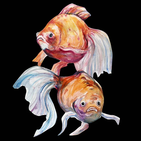 Belle illustration d'art de poisson aquarelle — Photo