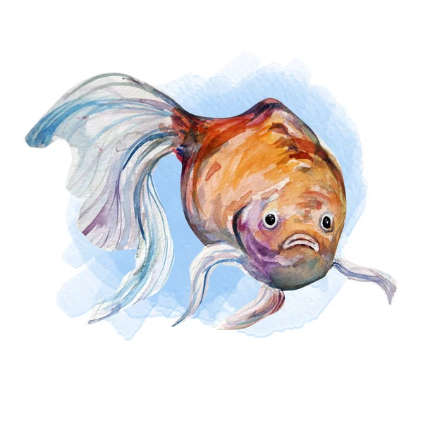 美しい水彩魚アートイラスト — ストック写真