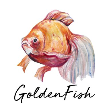 Güzel su rengi balık sanat illüstrasyon