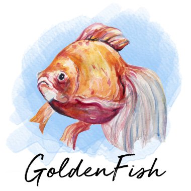 Güzel su rengi balık sanat illüstrasyon