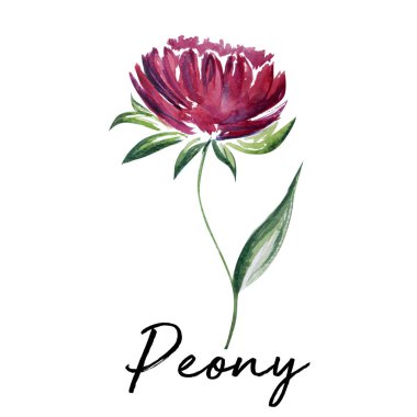 Güzel çiçek sanat su rengi illüstrasyon sanat