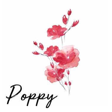 Güzel çiçek sanat su rengi illüstrasyon sanat