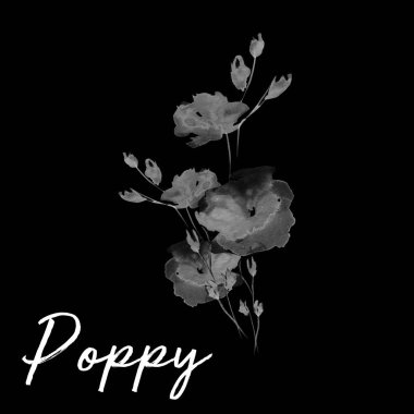 Güzel çiçek sanat su rengi illüstrasyon sanat