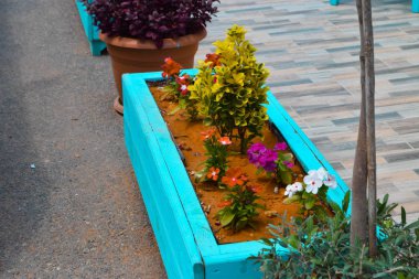 ahşap kutularda çiçek yatakları yakın 