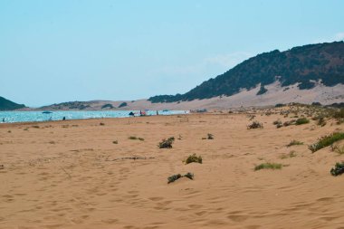 kumlu plaj ve gündüz rahatlatıcı turistik insanların görünümü