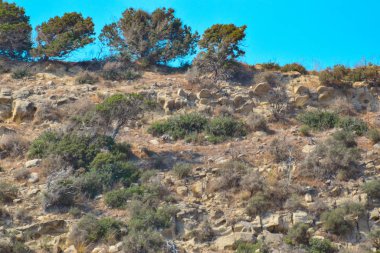 gündüz dağ arka planda kumlu plaj görünümü