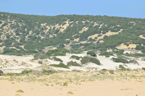 View Sandy Beach Mountain Background Daytime — Stock Photo, Image