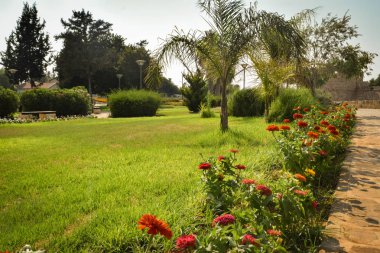 Yaz egzotik güzel Kıbrıs Bahçesi
