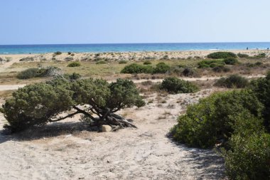 Güzel akdeniz dalgaları deniz, Kıbrıs