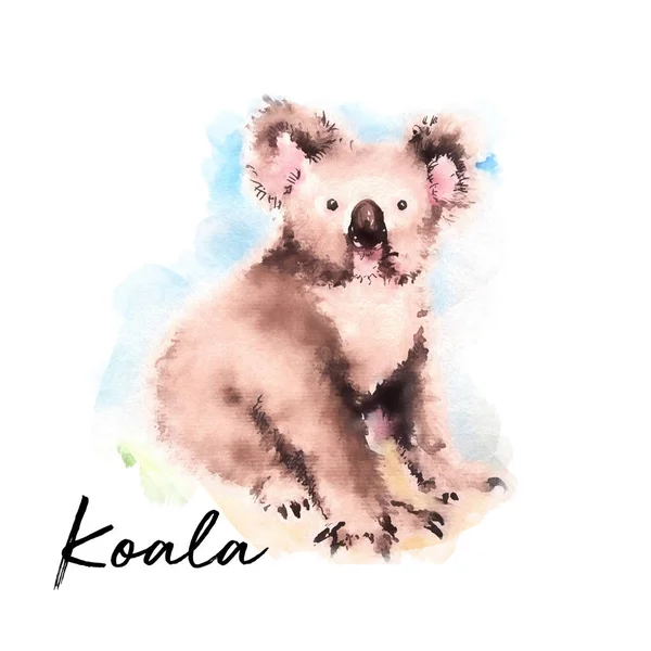 Koala Medve Művészet Akvarell Illusztráció — Stock Fotó