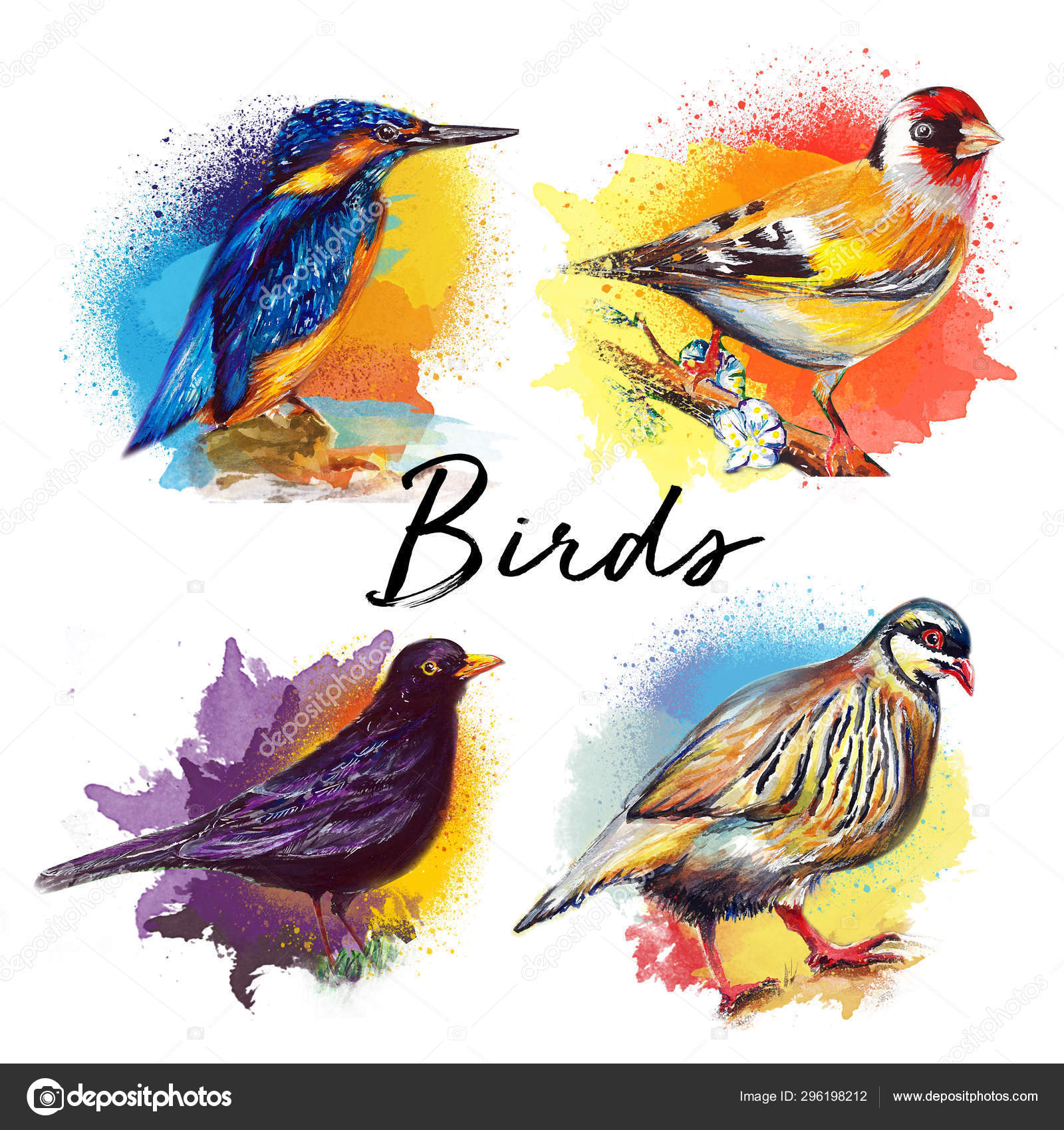 How to draw Beautiful Birds Sitting on Tree / Easy Beautiful Birds 002 -  Chitro Srijon - YouTube