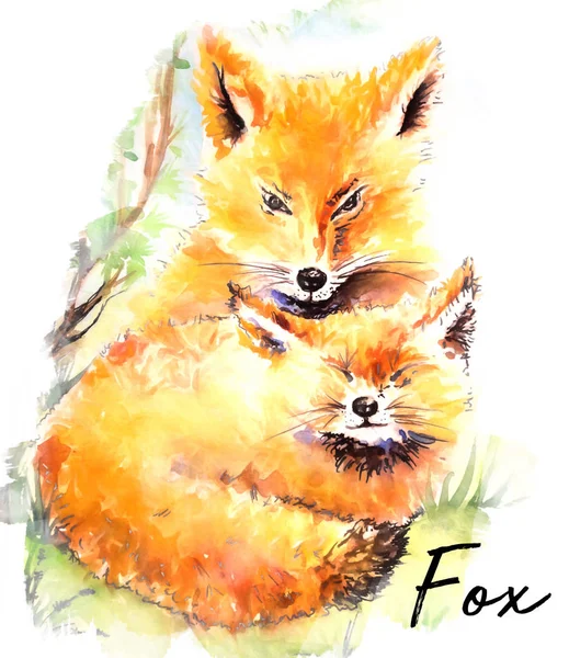 Niedlicher Fuchs, Kunst, Aquarell-Illustration — Stockfoto