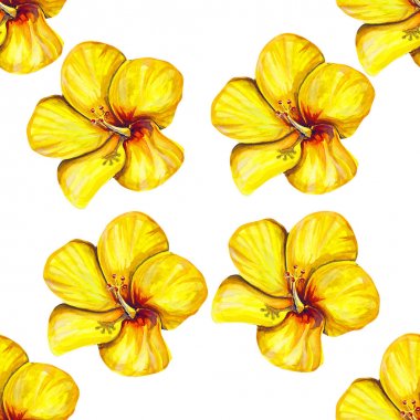 Yaz, ebegümeci, güzel, çiçek, sanat illüstrasyon