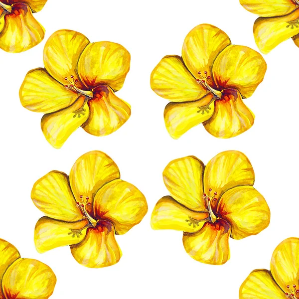 Yaz, ebegümeci, güzel, çiçek, sanat illüstrasyon