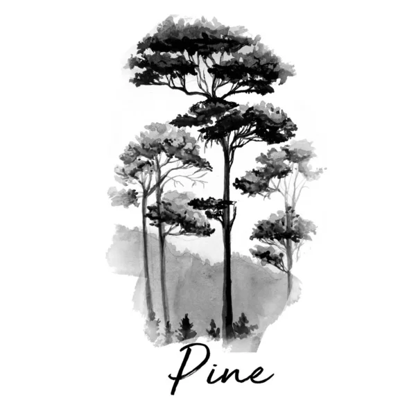 Pine Art víz színes festés illusztráció — Stock Fotó