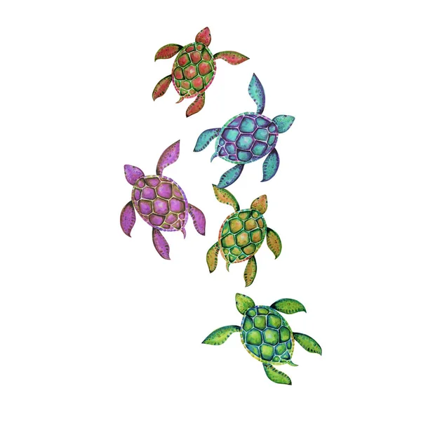 Красиве Мистецтво Черепахи Водяний Колір Фону Ілюстрація — стокове фото