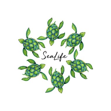 Güzel kaplumbağa sanat su renk arka plan illüstrasyon