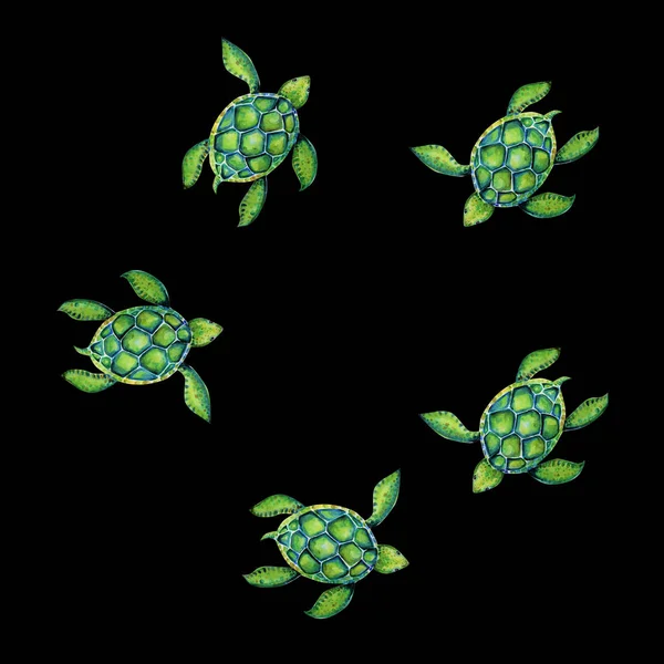 Beautiful Turtle Art Water Color Background Illustration — Stock Photo, Image