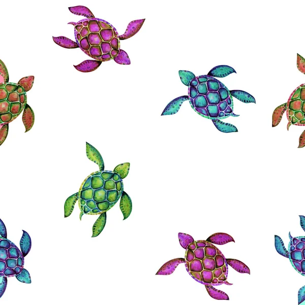 Güzel Kaplumbağa Sanat Renk Arka Plan Illüstrasyon — Stok fotoğraf