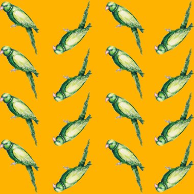 Papağan kuş su rengi sanat illüstrasyon