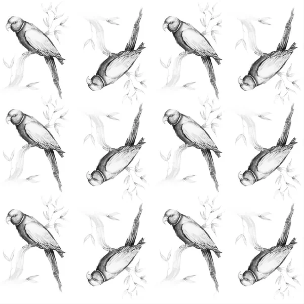 オウム鳥水色アートイラスト — ストック写真