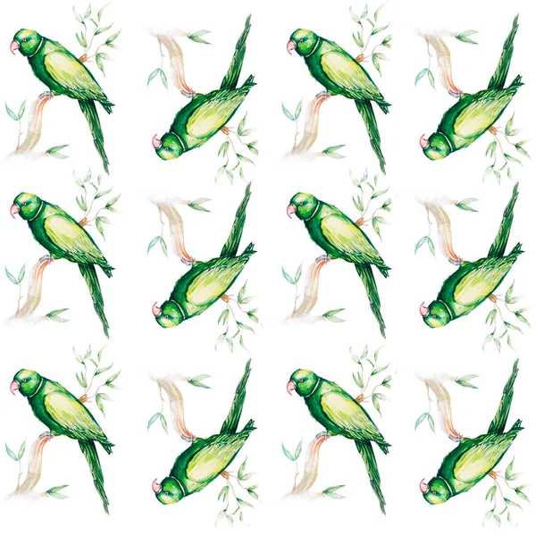 Иллюстрация акварели попугая — стоковое фото