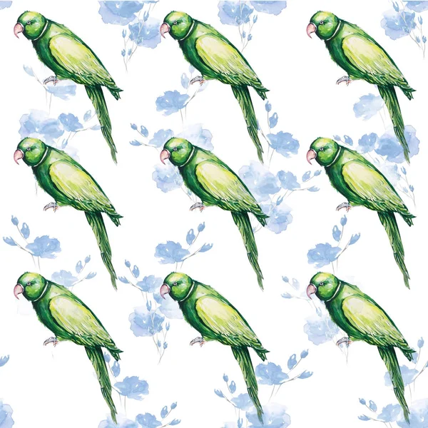 Papegaai vogel water kleur kunst illustratie — Stockfoto