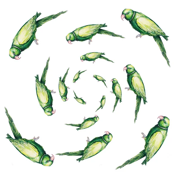 Papagaio Pássaro Água Cor Arte Ilustração — Fotografia de Stock