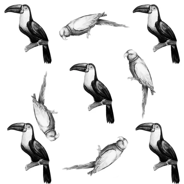 Perroquet Oiseau Aquarelle Illustration Art — Photo