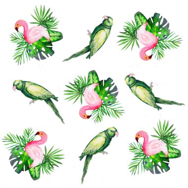 Papağan kuş su rengi sanat illüstrasyon