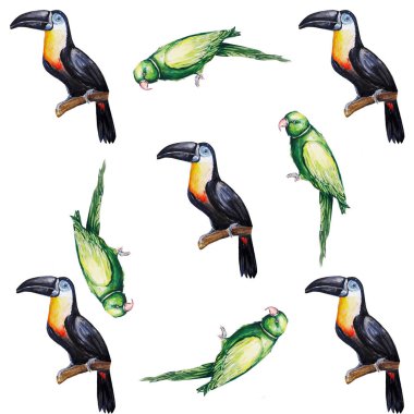 Papağan kuş su rengi sanat illüstrasyon