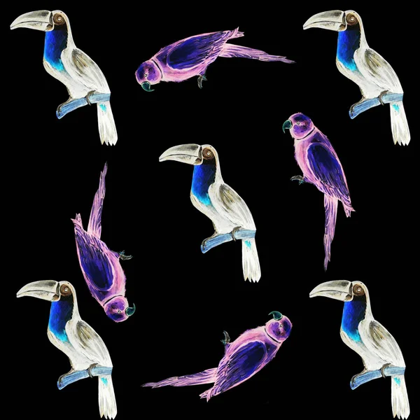 Papagaio Pássaro Água Cor Arte Ilustração — Fotografia de Stock