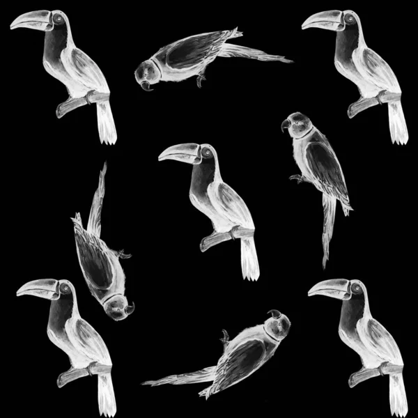 Папуга Птах Водяний Колір Художня Ілюстрація — стокове фото