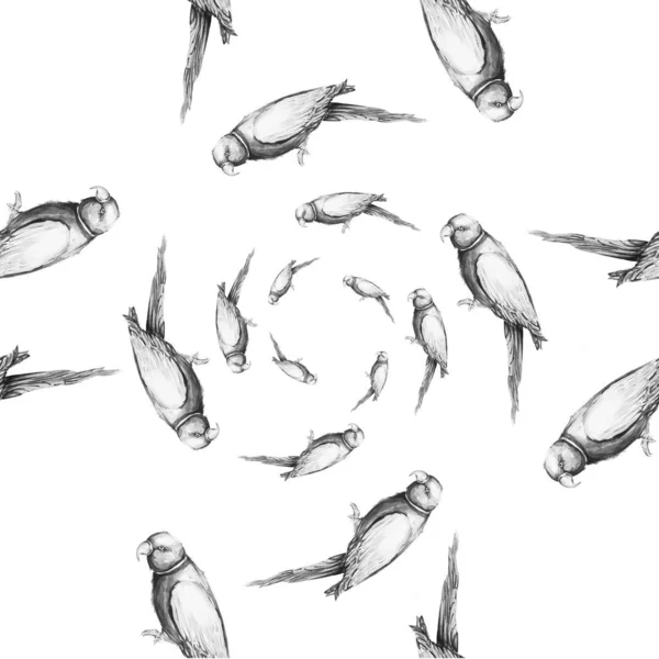 Иллюстрация Акварели Попугая — стоковое фото