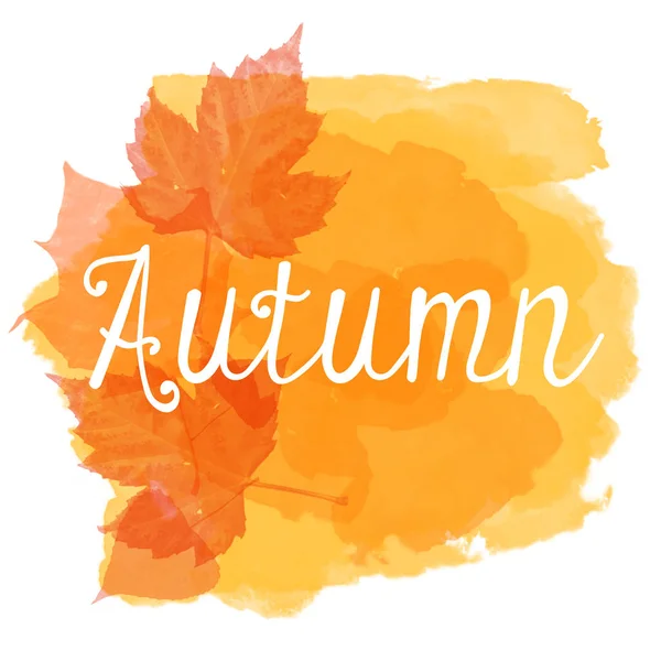 Orange Autumn Text Banner Illustration — Stock Photo, Image