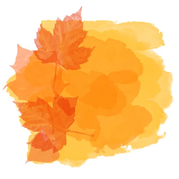 Orange Herbst Text Banner Illustration — Stockfoto
