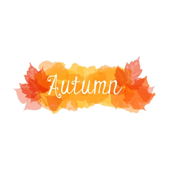Herfst Creatief Bladeren Achtergrond Illustratie — Stockfoto