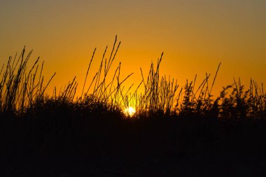  Siyah ve turuncu arka plan, gün batımı