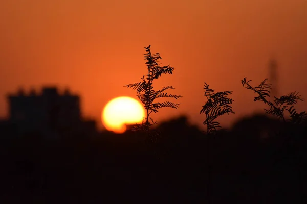 Fond Noir Orange Coucher Soleil — Photo