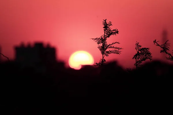 Fond Noir Orange Coucher Soleil — Photo