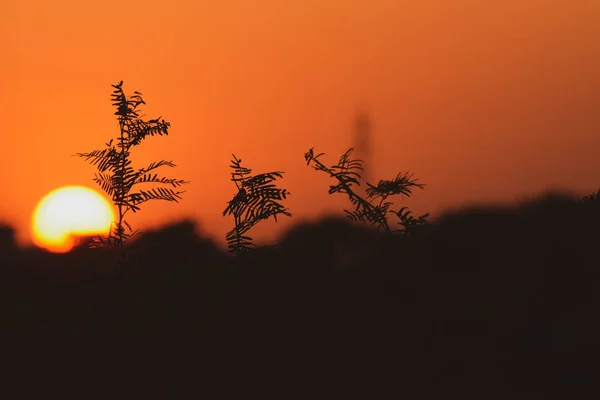 Black and orange background, sunset